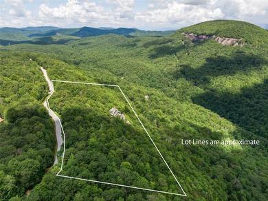 Best Mountain Views in Lake Toxaway! Experience refined mountain - photo 3