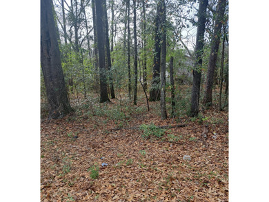 Lake Lot For Sale in Santee, South Carolina