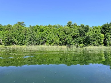 100 Feet on McKeown Lake! Create your Northwoods getaway on this - photo 2