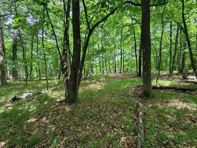 100 Feet on McKeown Lake! Create your Northwoods getaway on this - photo 3