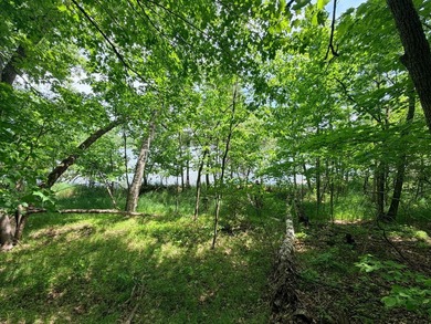 100 Feet on McKeown Lake! Create your Northwoods getaway on this - photo 4
