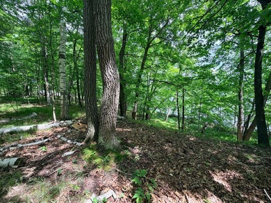 100 Feet on McKeown Lake! Create your Northwoods getaway on this - photo 6