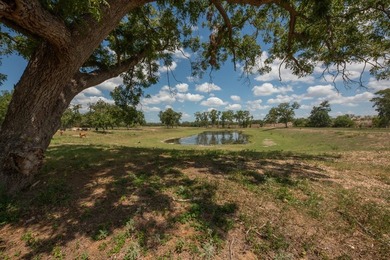 A rare opportunity to own a true piece of Texas history. This - photo 27