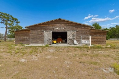 Discover a rare 27-acre opportunity in Hudson, FL, spanning two - photo 9