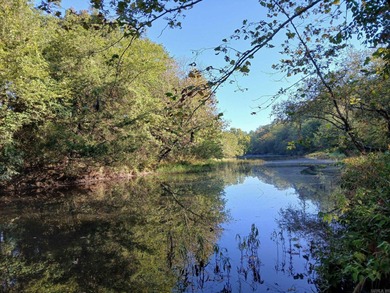 (private lake, pond, creek) Acreage For Sale in Mena Arkansas