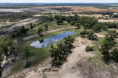 A rare opportunity to own a true piece of Texas history. This - photo 34