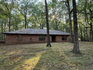 Toledo Bend Lake Home For Sale in Shelbyville Texas