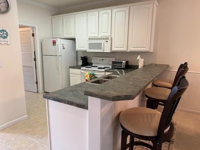 Motivated Seller! Does not have to be sold furnished if desired - photo 7
