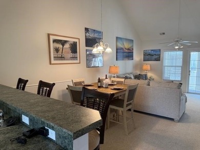 Motivated Seller! Does not have to be sold furnished if desired - photo 9