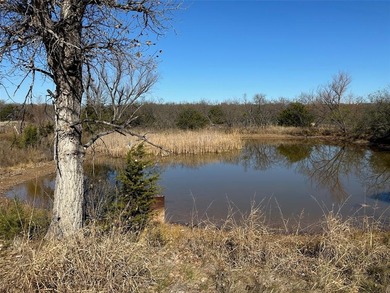 (private lake, pond, creek) Acreage For Sale in Bangs Texas