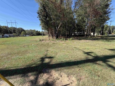 Lake Guntersville Lot For Sale in Guntersville Alabama