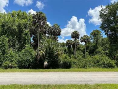 Lake Lot For Sale in Georgetown, Florida