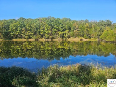 (private lake, pond, creek) Acreage For Sale in Warsaw Missouri