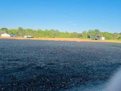 Lake Marion Lot For Sale in Manning South Carolina