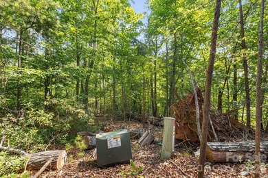 Lot 40 on Canoe Drive is arguably the most desirable lot on Lake - photo 12