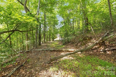 Lot 40 on Canoe Drive is arguably the most desirable lot on Lake - photo 13