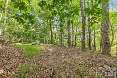 Lot 40 on Canoe Drive is arguably the most desirable lot on Lake - photo 15