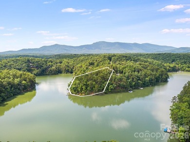 Lot 40 on Canoe Drive is arguably the most desirable lot on Lake - photo 17