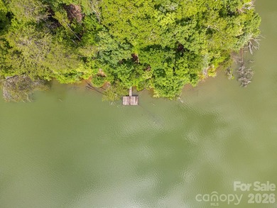 Lot 40 on Canoe Drive is arguably the most desirable lot on Lake - photo 18