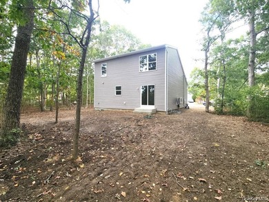 New Construction, Opportunity Knocks, Affordable Quality Diamond - photo 18