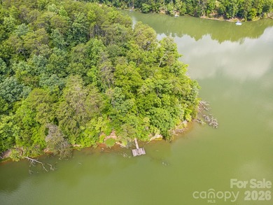 Lot 40 on Canoe Drive is arguably the most desirable lot on Lake - photo 19