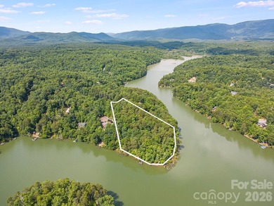 Lot 40 on Canoe Drive is arguably the most desirable lot on Lake - photo 20