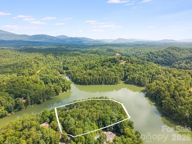 Lot 40 on Canoe Drive is arguably the most desirable lot on Lake - photo 21