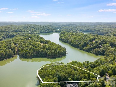 Lot 40 on Canoe Drive is arguably the most desirable lot on Lake - photo 22