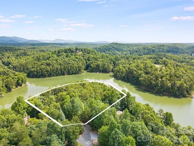 Lot 40 on Canoe Drive is arguably the most desirable lot on Lake - photo 23
