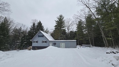 (private lake, pond, creek) Home For Sale in Hesperia Michigan