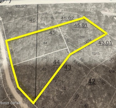 Lake Lot For Sale in Sugar Tree, Tennessee