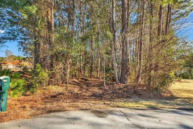 (private lake, pond, coastal) Lot For Sale in Myrtle Beach South Carolina