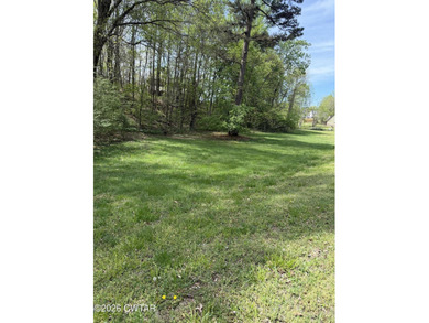 Beautiful lot just steps away from the water! All it's missing - photo 1