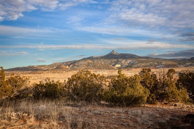 Tucked away in the tranquil landscape of Abiquiu, New Mexico - photo 4