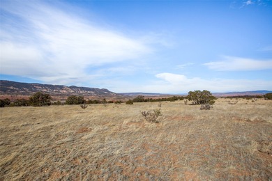 Tucked away in the tranquil landscape of Abiquiu, New Mexico - photo 10