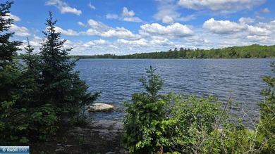 Rare opportunity to own a private 1.3-acre island on Pelican - photo 46