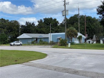 (private lake, pond, creek) Commercial For Sale in Leesburg Florida