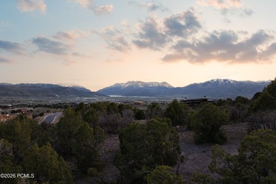 This .94-acre homesite is ideally positioned at the end of a - photo 4