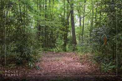 Lake Lot For Sale in Sapphire, North Carolina