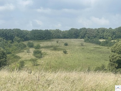 (private lake, pond, creek) Acreage For Sale in Cole Camp Missouri