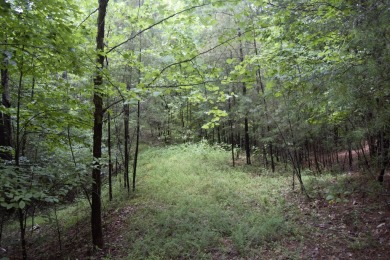 Leesville Lake Lot For Sale in Lynch Station Virginia