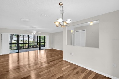 Welcome to 120 Evelyn Ct, Oldsmar, FL 34677, a beautifully - photo 6