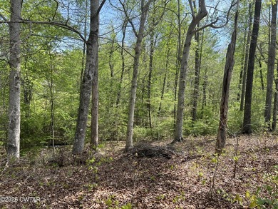 Lakefront 1.3 acre lot in the Indian Lake Community. There is a - photo 3