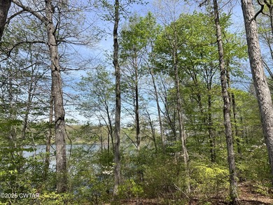 Lakefront 1.3 acre lot in the Indian Lake Community. There is a - photo 8