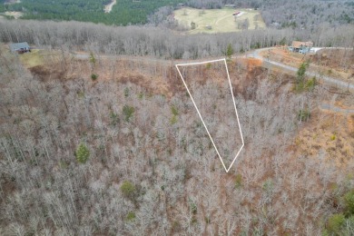 Lake Nottely Lot For Sale in Blairsville Georgia