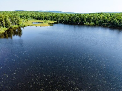 Escape to the heart of Maine's North Woods with this exceptional - photo 12