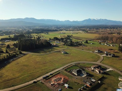Prime 1 acre building lot with Olympic Mountain View and paved - photo 12
