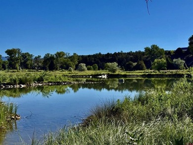 Mark Vansidener, Hayden Outdoors LLC, C:,,: One of the most - photo 16