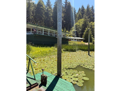 A rare opportunity to own one of Tenmile Lake's most exceptional - photo 21