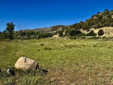 Mark Vansidener, Hayden Outdoors LLC, C:,,: One of the most - photo 29